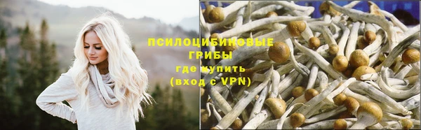 соль ск Абаза