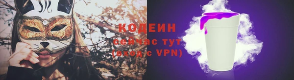 соль ск Абаза