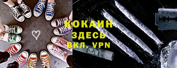 соль ск Абаза